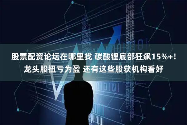 股票配资论坛在哪里找 碳酸锂底部狂飙15%+！龙头股扭亏为盈 还有这些股获机构看好