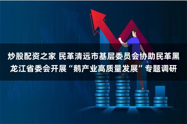 炒股配资之家 民革清远市基层委员会协助民革黑龙江省委会开展“鹅产业高质量发展”专题调研