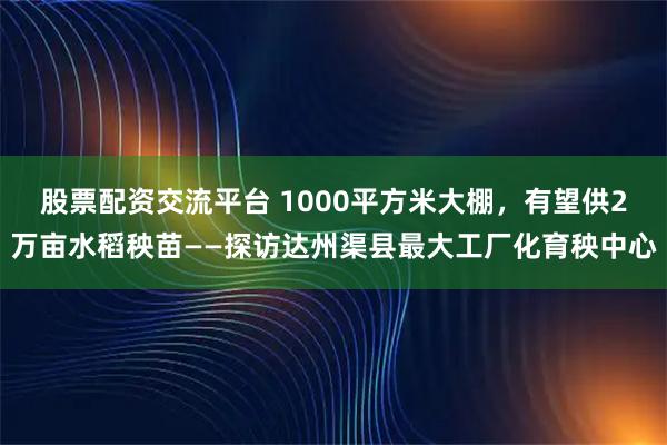 股票配资交流平台 1000平方米大棚，有望供2万亩水稻秧苗——探访达州渠县最大工厂化育秧中心